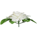 GR134 Róża w pąku - główka z liściem Cream